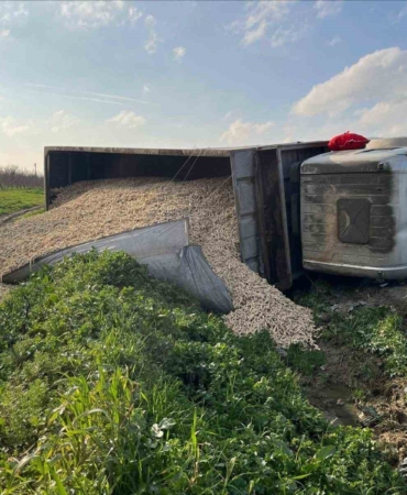 Mısır koçanı yüklü çekici devrildi: 1 yaralı