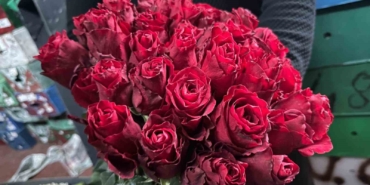 Kırmızı gülü yağış vurdu: Kenya ve Uganda gülleri revaçta