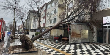 Muratlı’da ağaç kahvehanenin çatısına devrildi