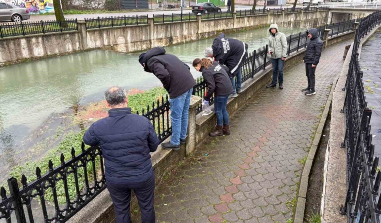 Uludere Çayı’nda binlerce ölü balık bulundu: Ekipler seferber oldu