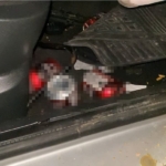 Direğe çarpan otomobildeki 4 kişi yaralandı: Araçtan alkol kutuları çıktı