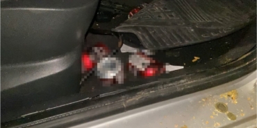 Direğe çarpan otomobildeki 4 kişi yaralandı: Araçtan alkol kutuları çıktı