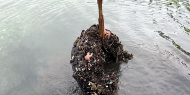 Kocaeli’de deniz dibinden 50 lastik çıktı