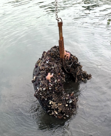 Kocaeli’de deniz dibinden 50 lastik çıktı