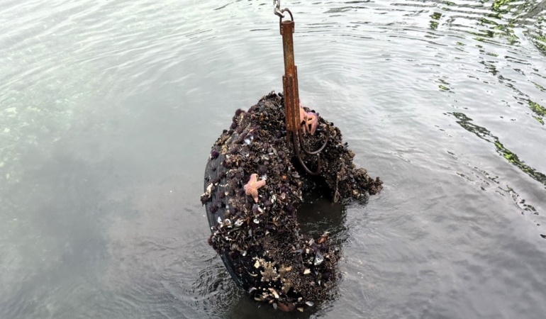 Kocaeli’de deniz dibinden 50 lastik çıktı