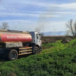 İznik’te rüzgarla birlikte sazlık yangını büyüyor