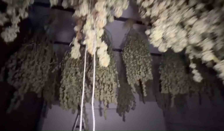 Kırklareli’nde 54 kilogram esrar ele geçirildi: 1 tutuklama