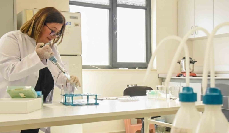 BŞEÜ’den dünyanın en saygın dergilerinden Food Chemıstry’de bir yayın daha