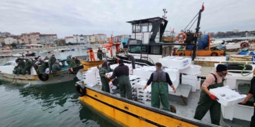 Tekirdağ açıklarında torik bereketi