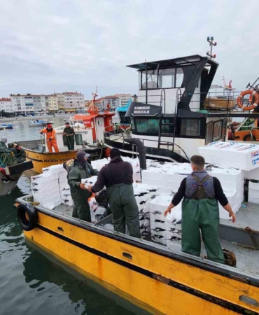 Tekirdağ açıklarında torik bereketi