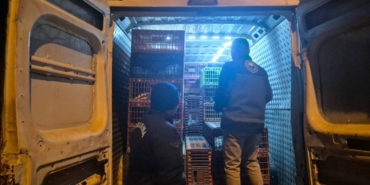 Bilecik’te belgesiz hayvan sevkine 52 bin 720 TL ceza