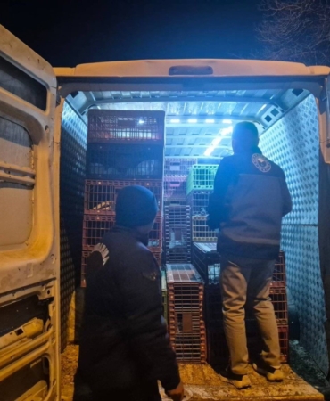 Bilecik’te belgesiz hayvan sevkine 52 bin 720 TL ceza