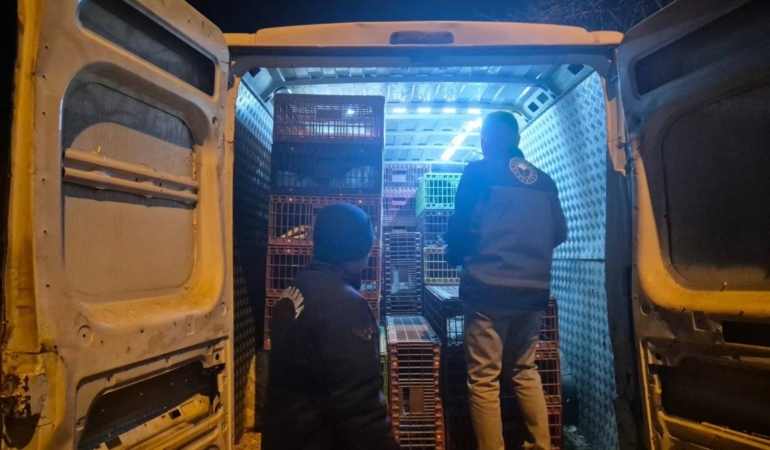 Bilecik’te belgesiz hayvan sevkine 52 bin 720 TL ceza