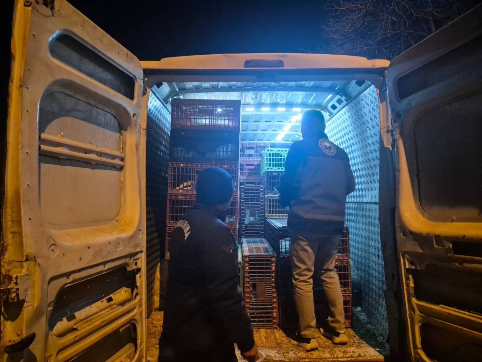 Bilecik’te belgesiz hayvan sevkine 52 bin 720 TL ceza