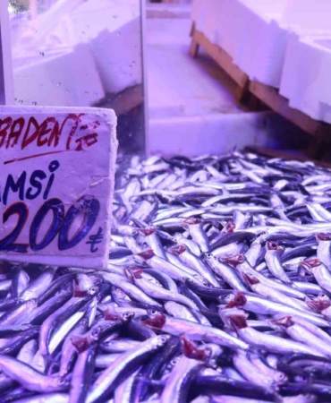 Hamsi tezgahlardaki tahtına yeniden oturdu