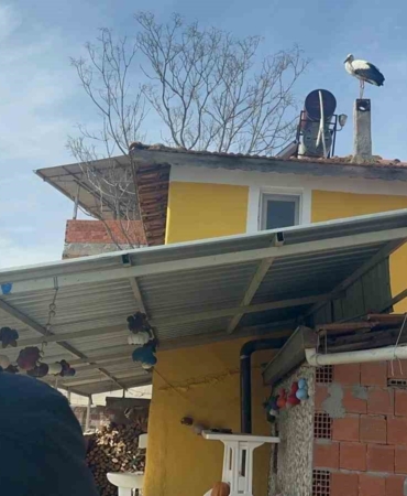 Leylek köyünde büyük sevinç: Eşi geldi, herkes Yaren’i bekliyor