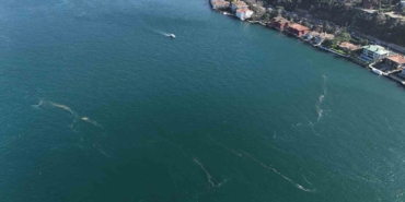 Boğaz’da alarm veren görüntü: Kirlilik denizanasını yüzeye çıkardı