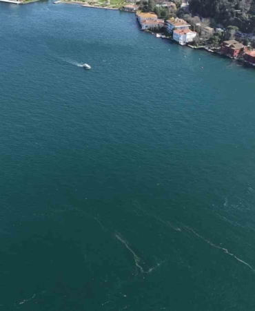 Boğaz’da alarm veren görüntü: Kirlilik denizanasını yüzeye çıkardı
