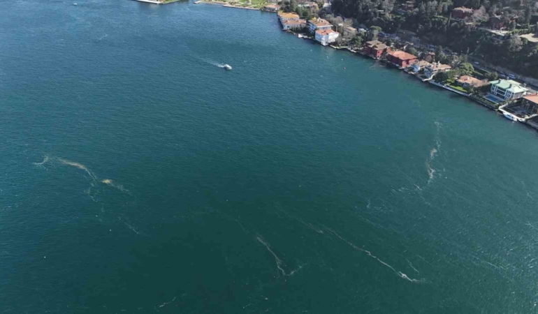 Boğaz’da alarm veren görüntü: Kirlilik denizanasını yüzeye çıkardı