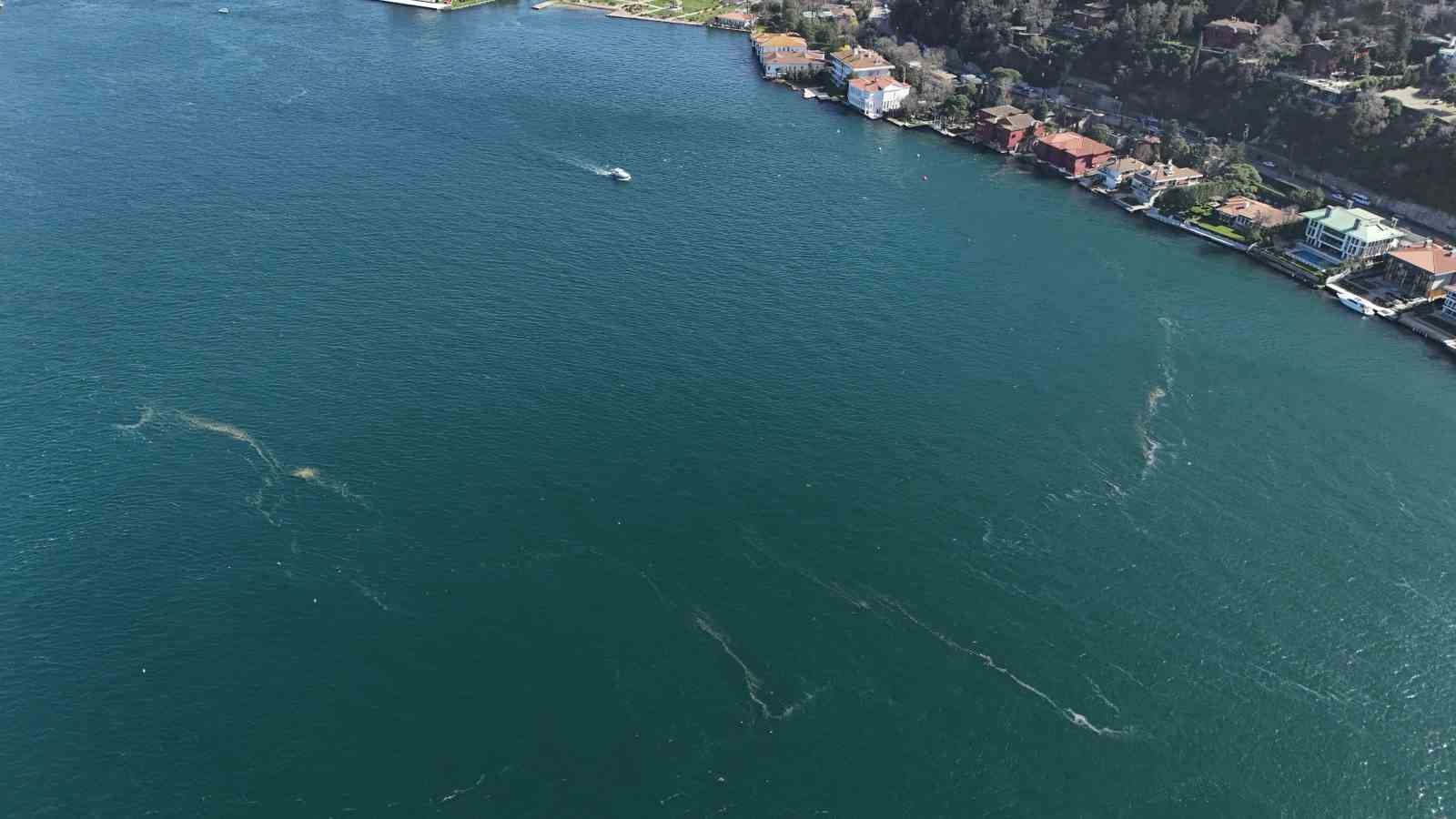 Boğaz’da alarm veren görüntü: Kirlilik denizanasını yüzeye çıkardı