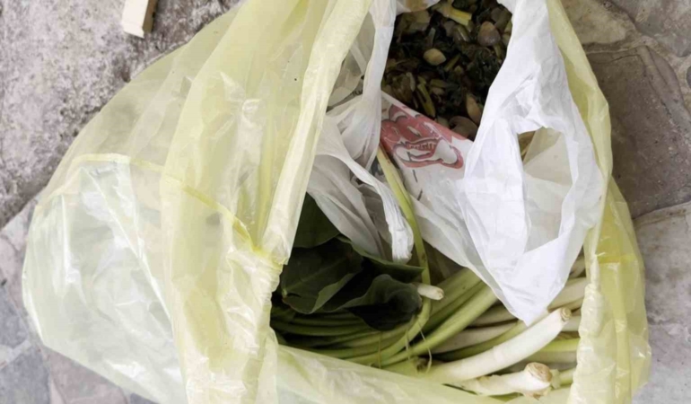 Doktor çiftin zor anları, ağzına alır almaz fenalaştı: "Pazı olarak aldığım ot, tirşik otu çıktı"