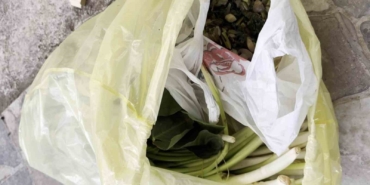 Doktor çiftin zor anları, ağzına alır almaz fenalaştı: "Pazı olarak aldığım ot, zehirli tirşik otu çıktı"