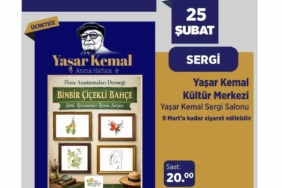 Edebiyatın büyük ustası Yaşar Kemal Maltepe’de anılacak