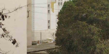 Çanakkale’de fırtına ağaçları devirdi