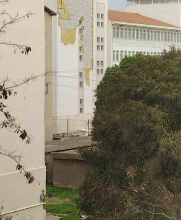 Çanakkale’de fırtına ağaçları devirdi