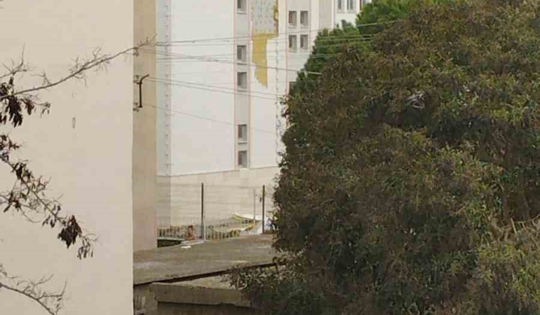 Çanakkale’de fırtına ağaçları devirdi