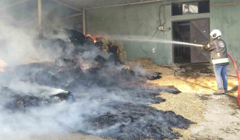 Harada çıkan yangında 70 balya saman yandı