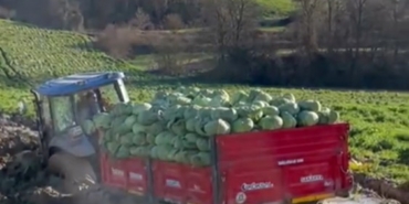 Çiftçinin zor anları