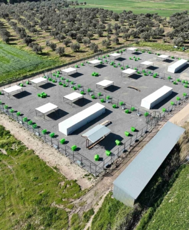 Edremit’te can dostlar için doğal yaşam alanı açılıyor