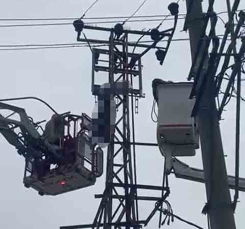 Hırsızlık için çıktığı elektrik direği sonu oldu