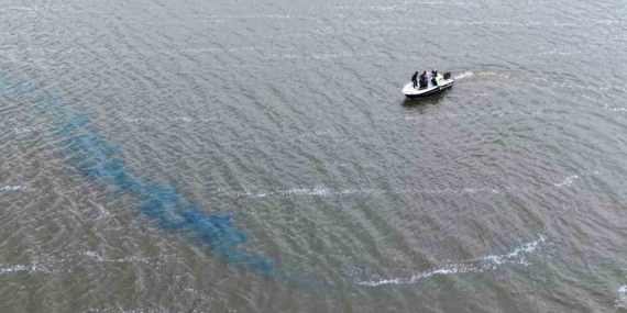 Türkmenli Göleti’nde algasid dozlama ile su kalitesi artırılıyor