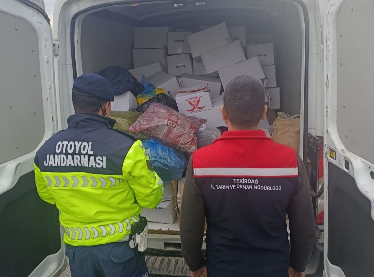 Tekirdağ’da 2 ton baklavaya hazır antepfıstığı imha edildi