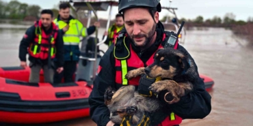 Sular altında kalan bağ evinde mahsur kalan iki köpeği belediye ekipleri kurtardı