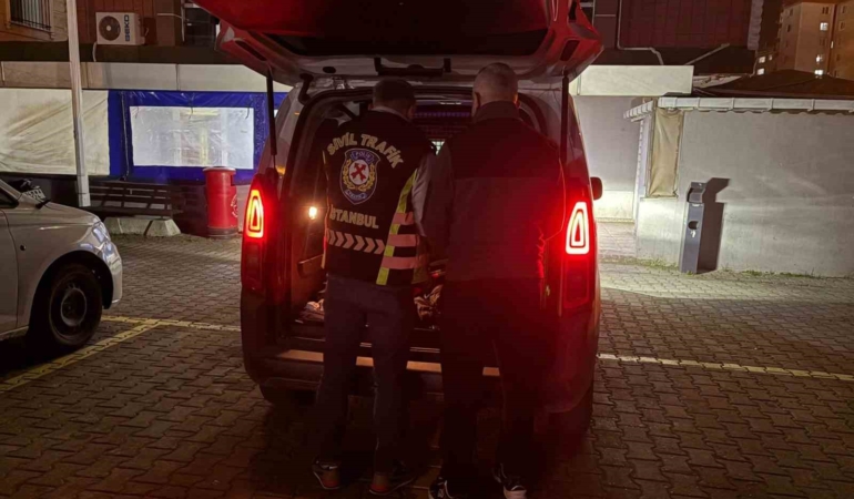 Büyükçekmece’de ambulans sürücüsüyle tartışan şahsa ceza