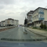 Yoldan geçerken arabanın altında kalan kedi koşarak kaçtı: O anlar araç kamerasına saniye saniye yansıdı
