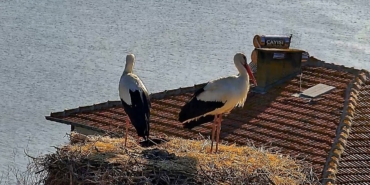 Beklenen buluşma gerçekleşti