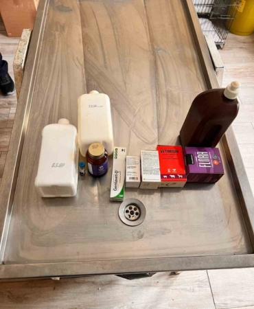 Açlıktan birbirini yiyen köpeklerin bakıldığı barınakta birçok ilacın tarihinin geçtiği belirlendi