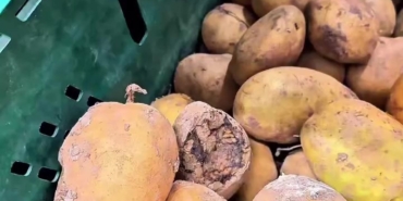 Market raflarında tarihi geçmiş tavuk ve içecek alarmı