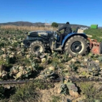 Pazarda 70 lira ama yüzbinlercesi tarlada çürüdü: Üreticiler Tarım Kredi’ye çağrı yaptı