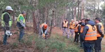 Orman işçileri Kazdağları’nda sınav için ter döktü