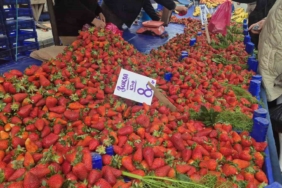 80 TL’lik çileğe yoğun ilgi