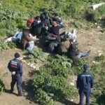 Ayvalık’ta 3’ü çocuk 25 göçmen yakalandı