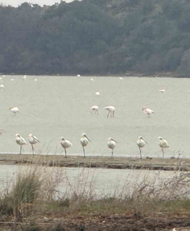 Eceabat Kaymakamı Kerem Yenigün’den Suvla Bölgesinde Doğa İncelemesi