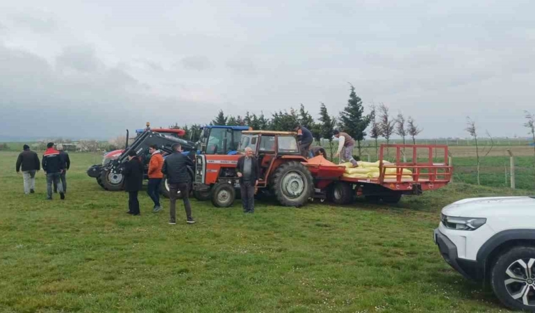 Merada gübreleme çalışması yapıldı