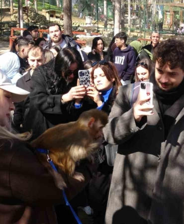 Çekmeköy’de kadınlar 8 Mart’ı hayvanat bahçesinde kutladı: Park of İstanbul kadınlara ücretsiz açıldı