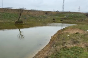 Kuruyan gölet yeniden canlandı: Çatlayan topraklar suyla buluştu
